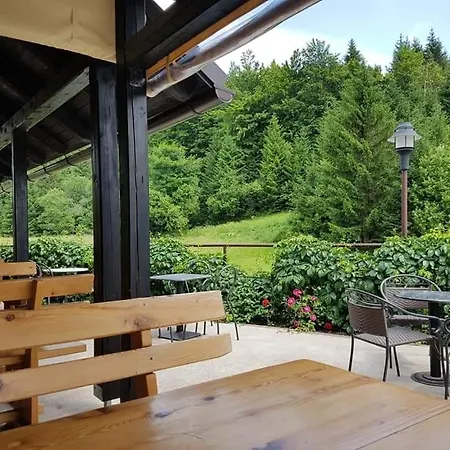 Breza Hotel Ravna Gora