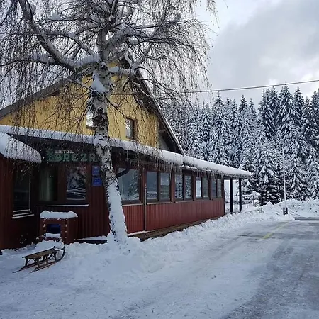 Breza Ravna Gora