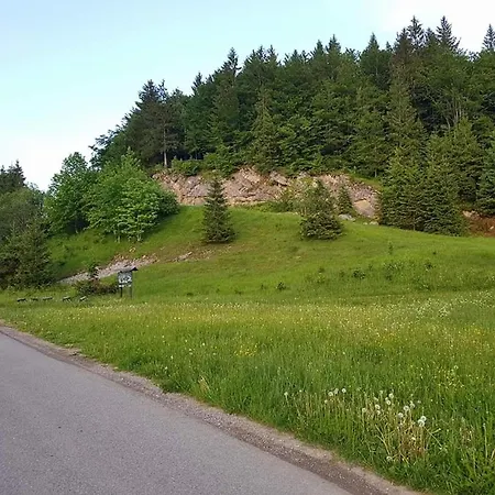 Breza Hotel Ravna Gora