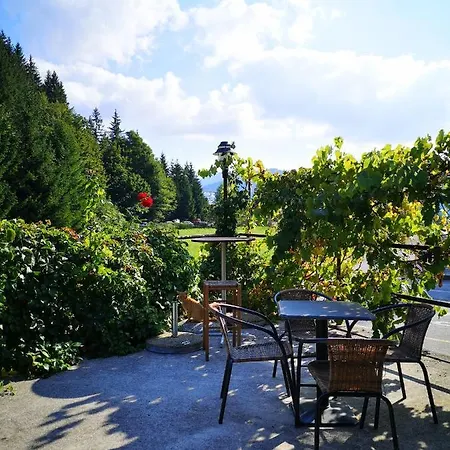 Hotel Breza Ravna Gora