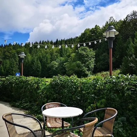 Breza Hotel Ravna Gora